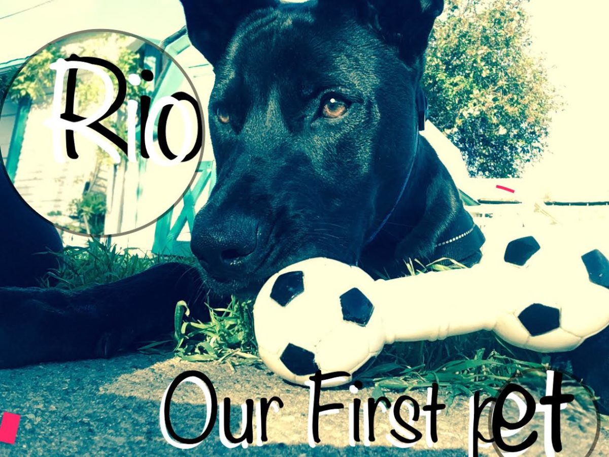 Our First Pet I Fill Life