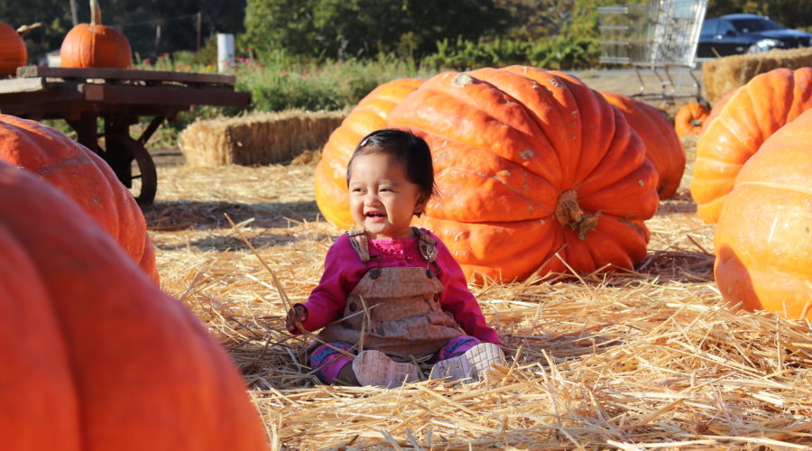 Fall 2018: Pumpkin Patch Time!