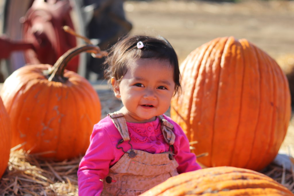 First Pumpkin Patch