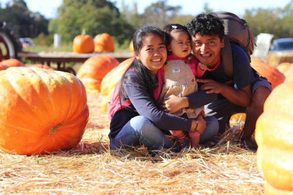 First Pumpkin Patch