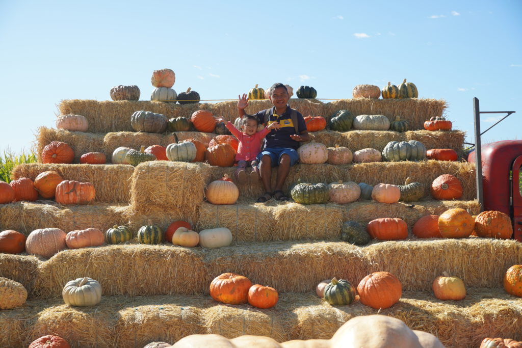 pumpkin patch at Laryy's produce