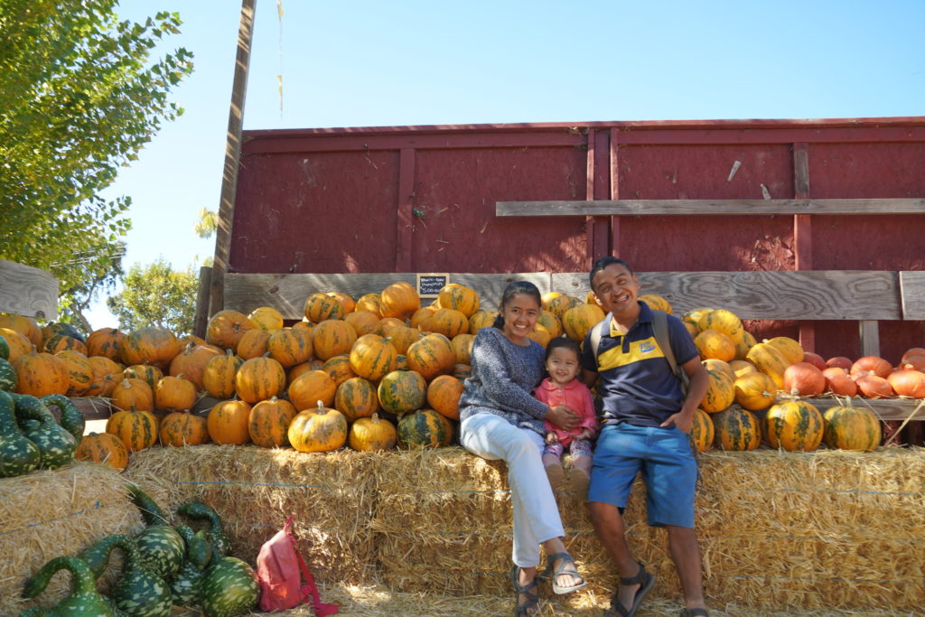 pumpkin patch at Laryy's produce